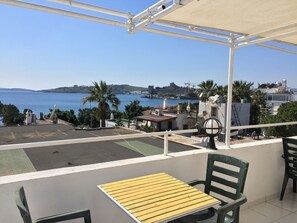 Terras