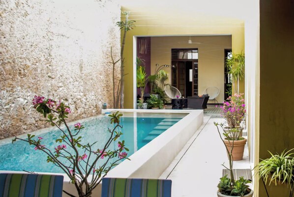 Outdoor pool - Casa 51 - The best place to stay in town! (Centro)