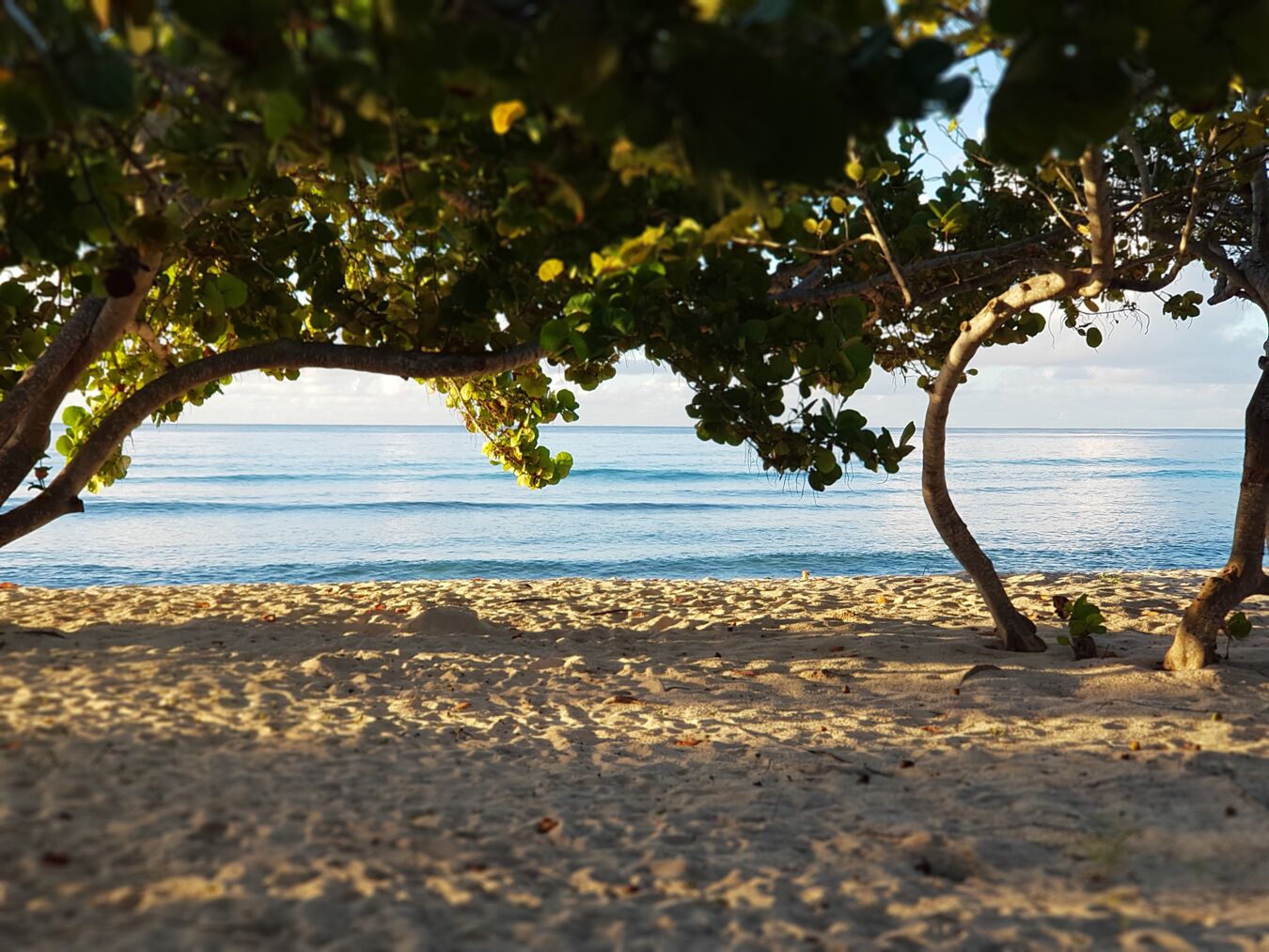 On the beach