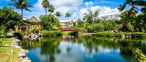 Jardines del alojamiento