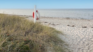 Une plage avec une bouée de sauvetage fixée à un poteau, entourée d’herbe et d’algues.
