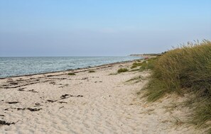 بالقرب من الشاطئ