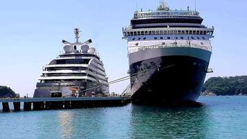 Deux grands navires de croisière ont accosté à un quai, sous un ciel dégagé et par temps de mer calme.