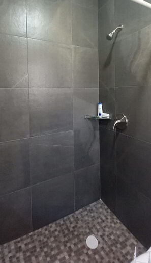 Ducha, toallas, jabón, shampoo