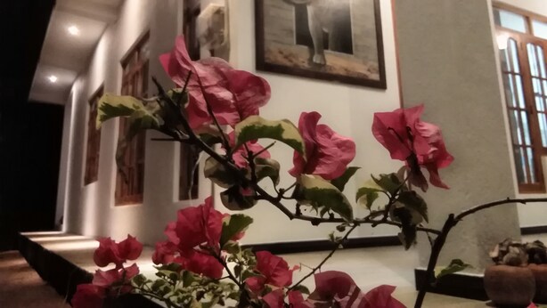 A corridor with a wall-mounted sculpture, a potted plant with pink flowers, and a framed picture. - The Grand Leisure Villa (Udawalawa)