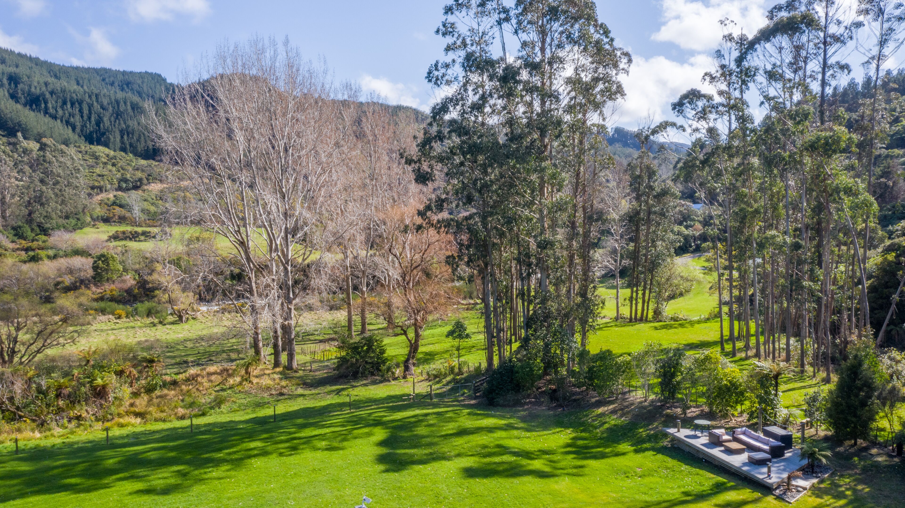 Un paisaje exuberante y verde con diversos árboles y un cielo despejado.