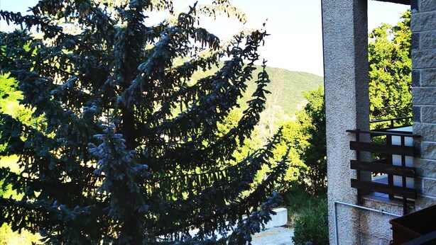 A building with a stone facade, a wooden staircase, and a large evergreen tree in the foreground. - Chalet "Mon Amour" - Relax & Sky (Campo di Giove)