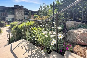 Property grounds - Ski-In/Ski-Out Mountain Retreat! Hot Tub, Cozy Fireplace & Stunning Mtn Views Your Winter Escape (Snowmass Village)