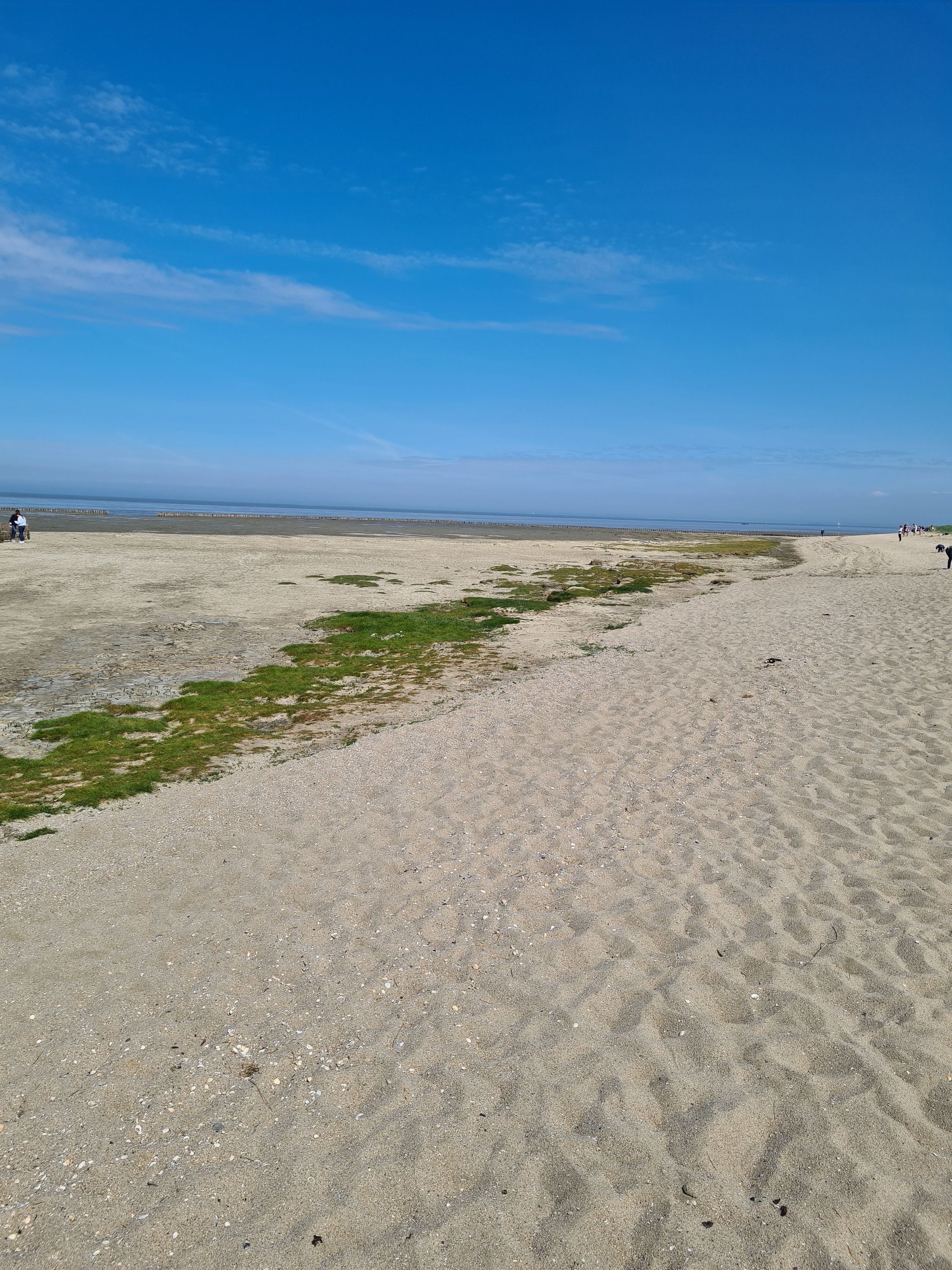 Beach nearby, sun loungers