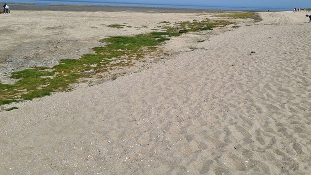 Une plage de sable fin sous un ciel dégagé.