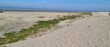 Beach nearby, sun-loungers