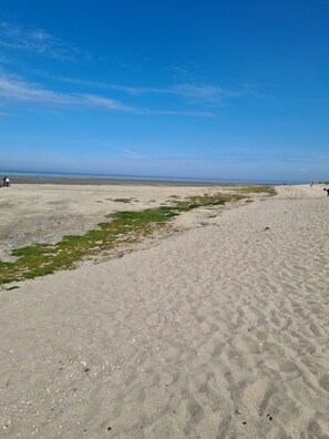Une plage de sable fin sous un ciel dégagé.