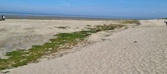 Traumurlaub im Küstenbadeort Minsen