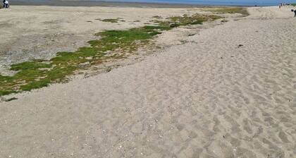 Traumurlaub im Küstenbadeort Minsen