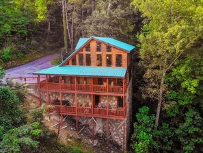 Exterior - The Circle of Life  -  Theater Room, Hot Tub, $560 FREE tickets each paid day! (Sevierville)