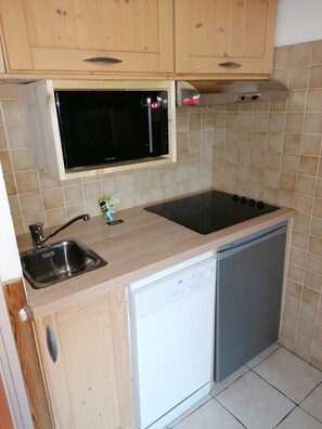 Fridge, microwave, dishwasher, cookware/dishes/utensils