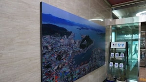 A large cityscape painting on a wall, a glass door with a sign for a hotel, and a small potted plant. - Hawaii Hotel (Tongyeong)