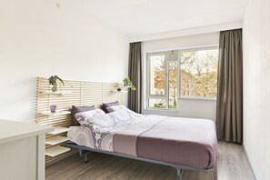 1 slaapkamer, een strijkplank/strijkijzer, wifi, beddengoed