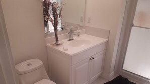 A bathroom with a toilet, a sink, and a mirror.