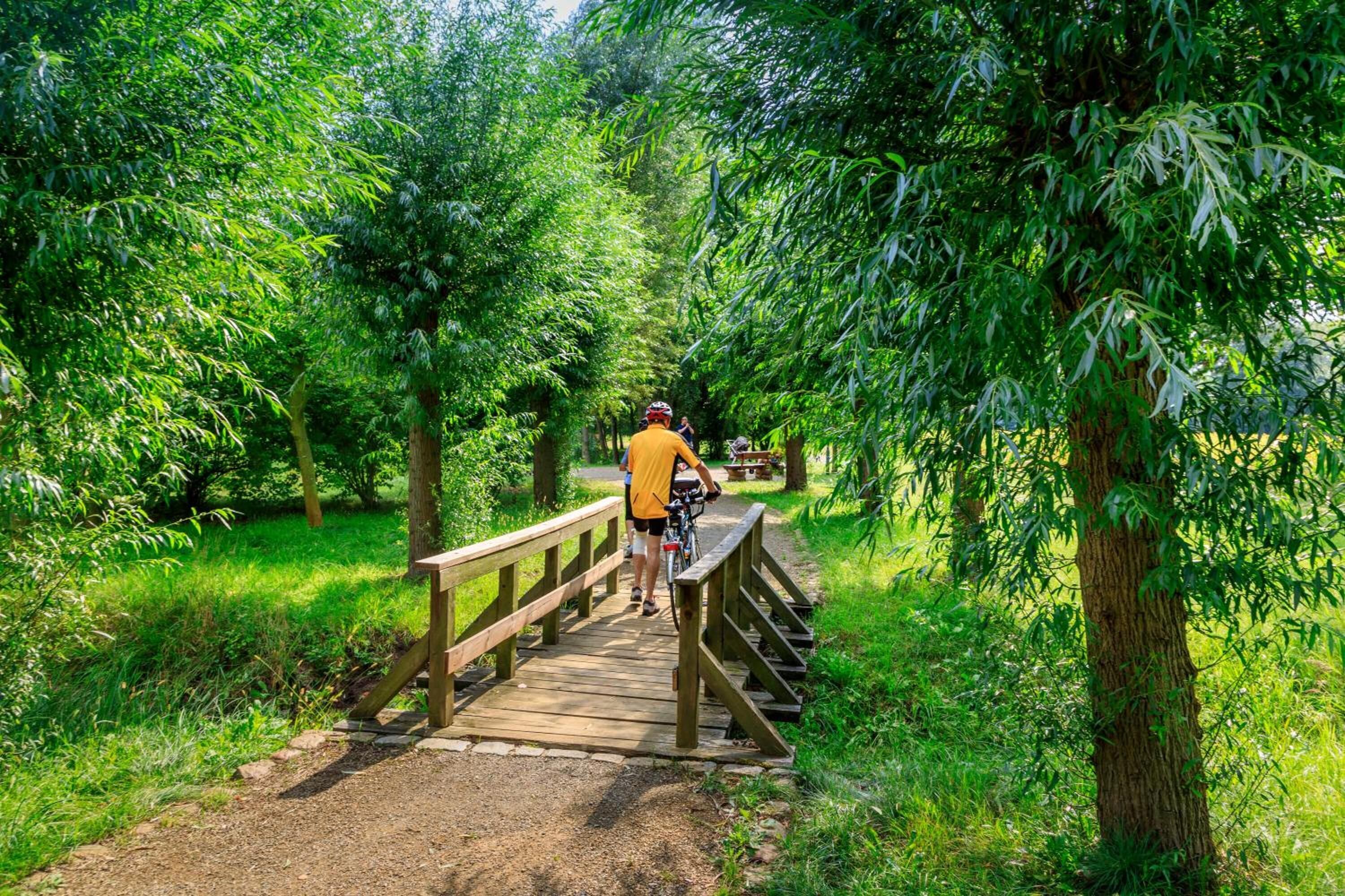 Eine Holzbrücke in einem Park, gesäumt von Grünpflanzen.