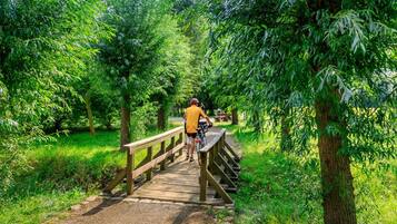 Eine Holzbrücke in einem Park, gesäumt von Grünpflanzen.