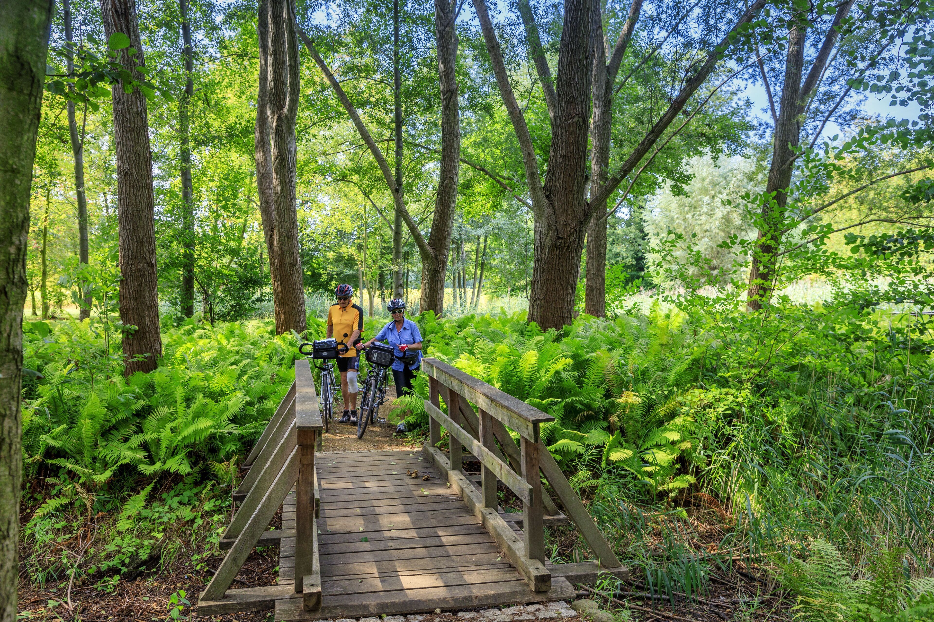 Un puente de madera en un bosque con ciclistas.