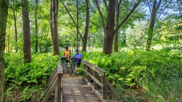 Un puente de madera en un bosque con ciclistas.