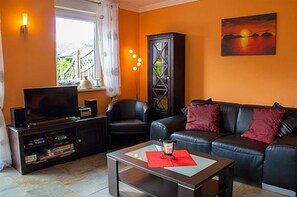 Télévision, cheminée, lecteur de DVD, livres