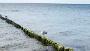 Plage à proximité, chaises longues