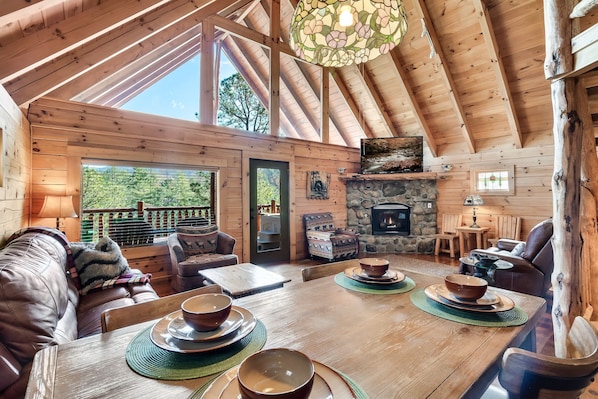 Smart TV, fireplace, books