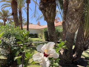 Details aan de buitenkant