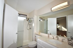 A modern bathroom with a walk-in shower, a toilet, a sink, and a large mirror.