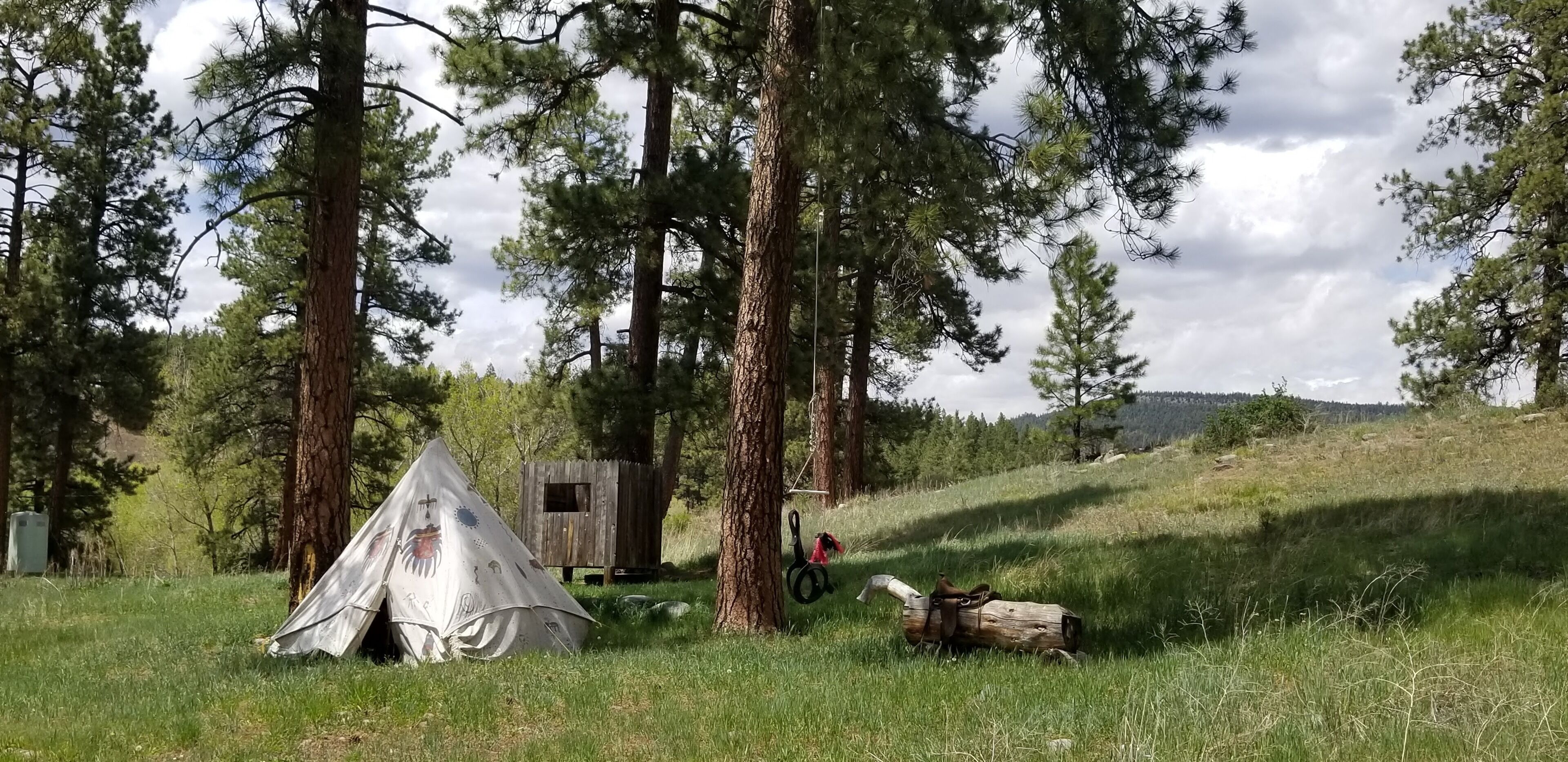 A tent set up in a grassy area with trees in the background.