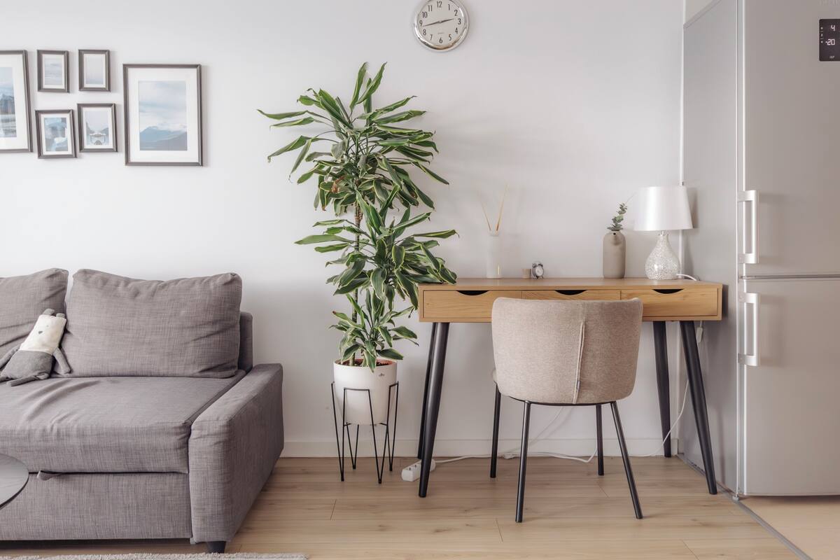 Uma sala de estar moderna com um sofá cinza, uma escrivaninha de madeira com uma cadeira, uma planta em vaso, um relógio de parede e uma geladeira branca.