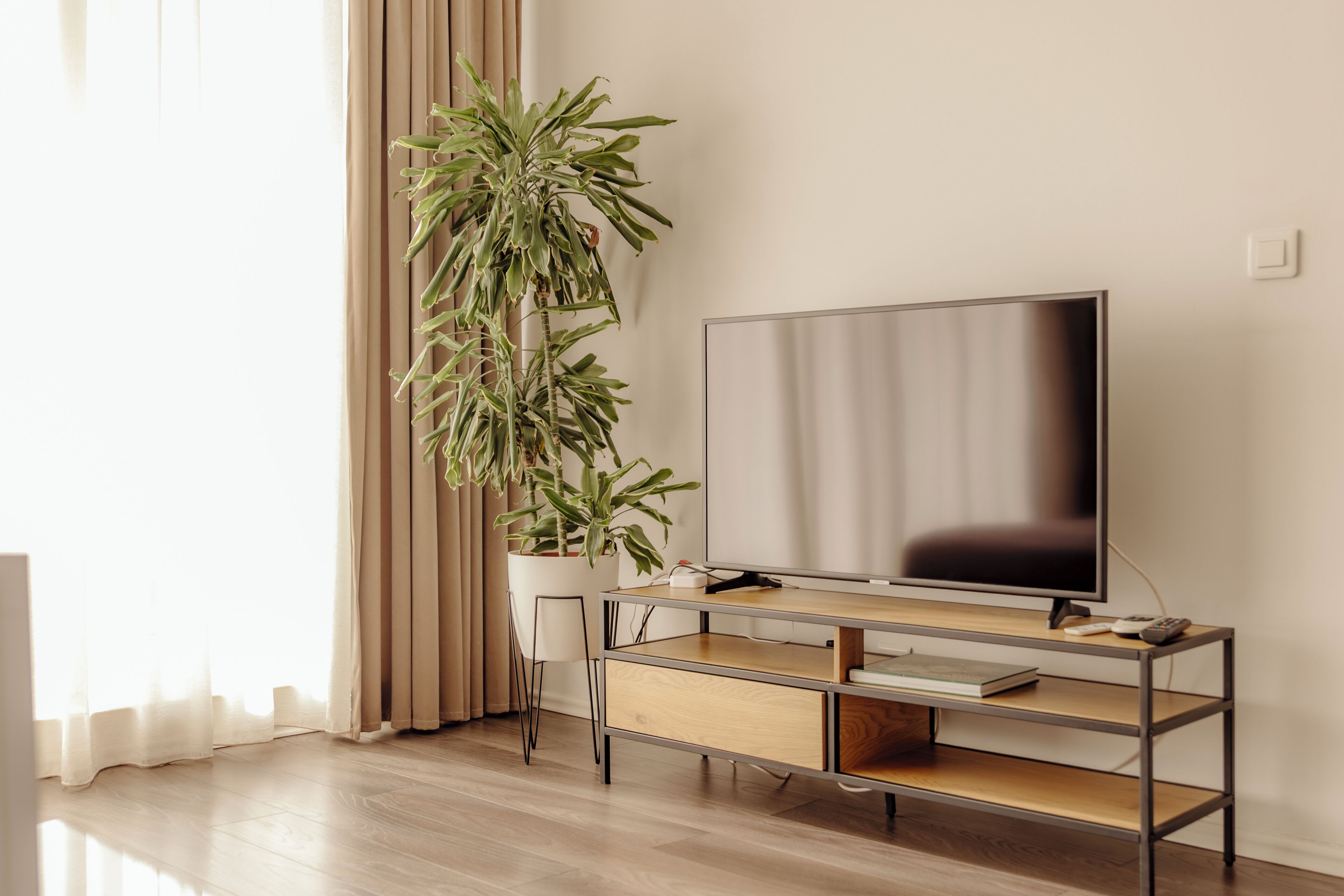 Junior-Apartment | Wohnbereich | 120-cm-Flachbildfernseher mit Kabelempfang, Fernseher