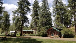 A rustic cabin with a green roof, surrounded by tall pine trees and a picnic table in the foreground. - Fish the San Juan River (Pagosa Springs)