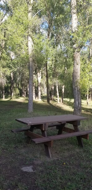 Ein Holztisch für ein Picknick in einer grünen Umgebung, umgeben von Bäumen.