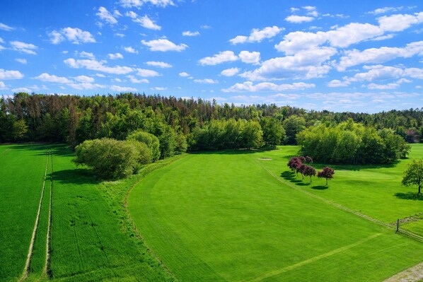 A golf course with a clear sky, lush green grass, and a forested area in the background.