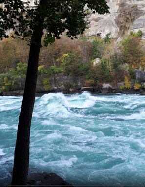 Image sans description, 3 de 5, bouton