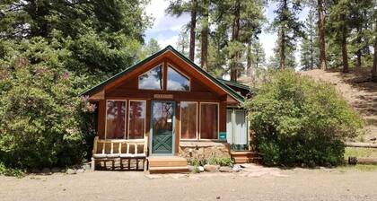 Fish the San Juan River