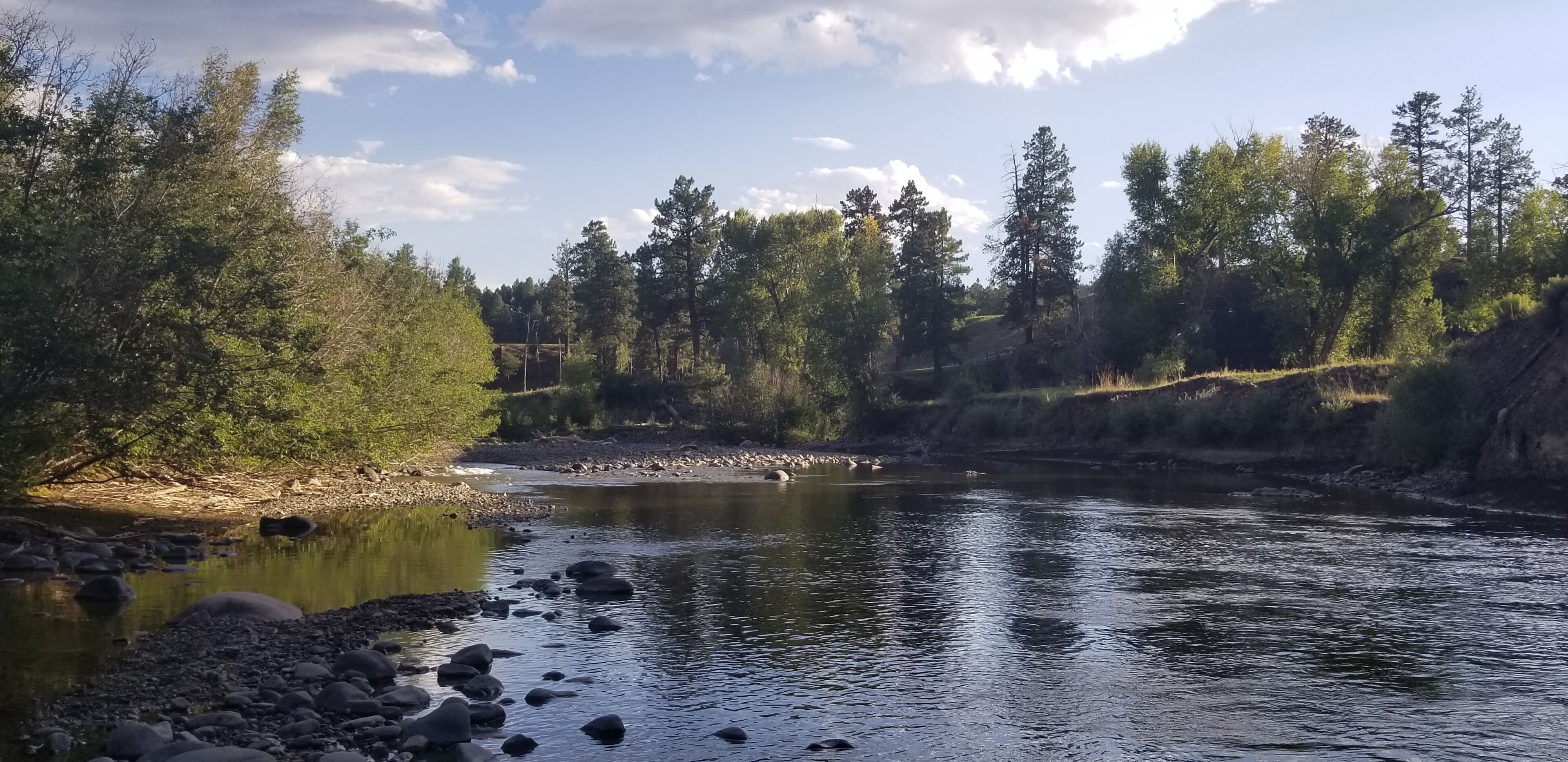 A river with rocks and trees on the banks.