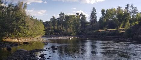 A river with rocks and trees on the banks.