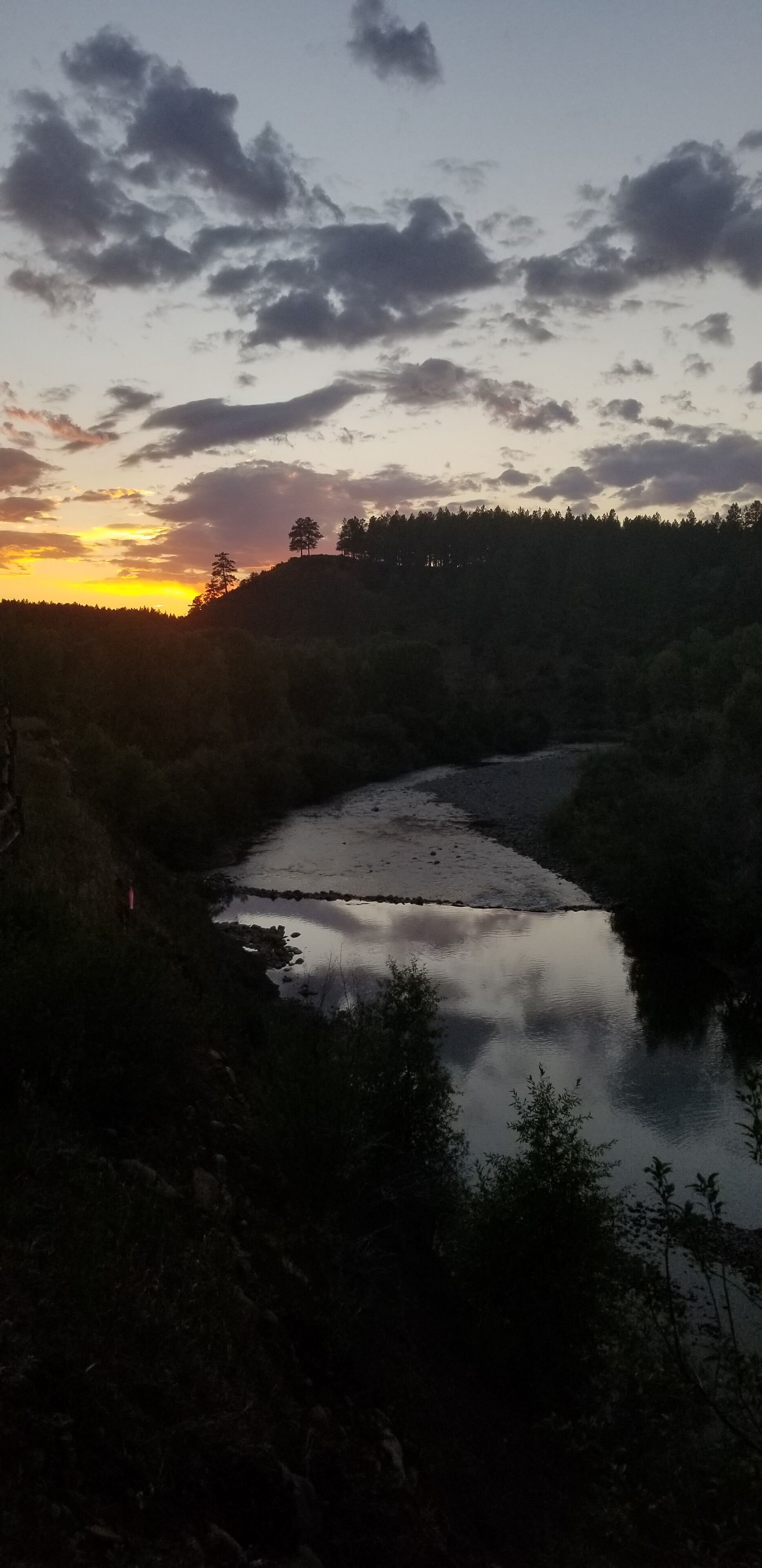 A river flowing through a forested area with a sunset in the background.