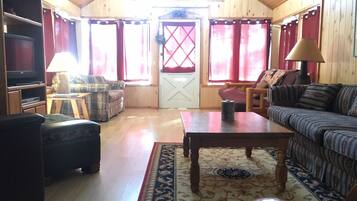 TV, fireplace, DVD player