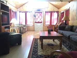 Televisión, chimenea y reproductor de DVD