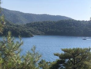 Family House, 1 Bedroom, Mountain View | Pemandangan dari bilik