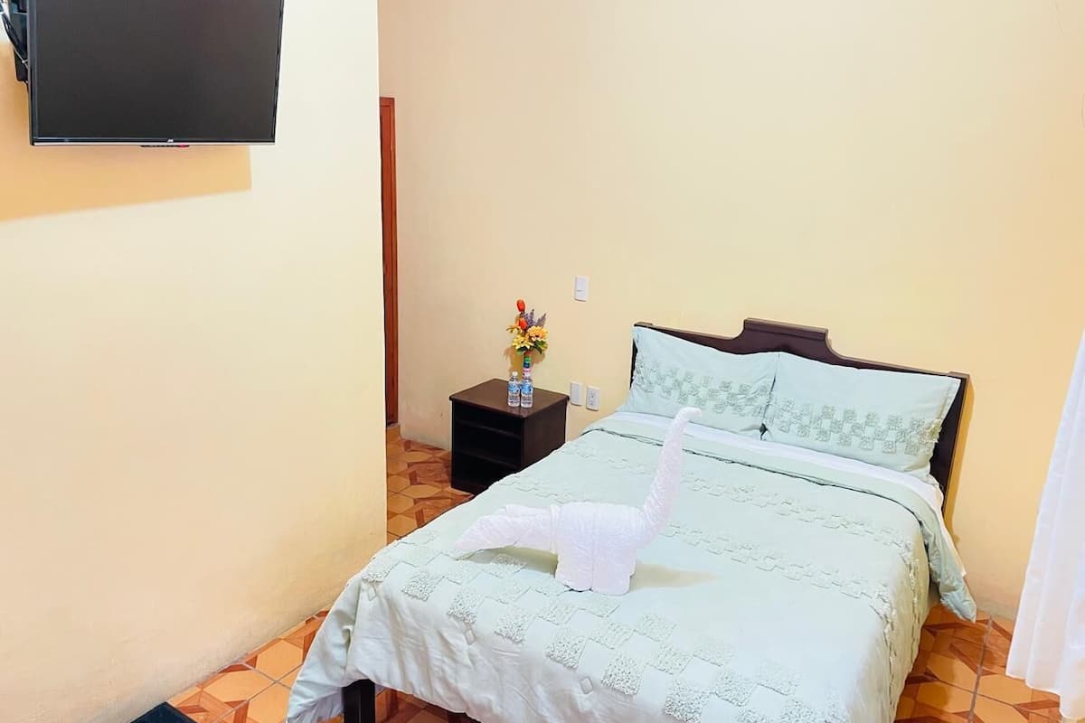 Une chambre d’hôtel avec un lit, une table de chevet, une télévision et une petite table sur laquelle est posé un vase de fleurs.