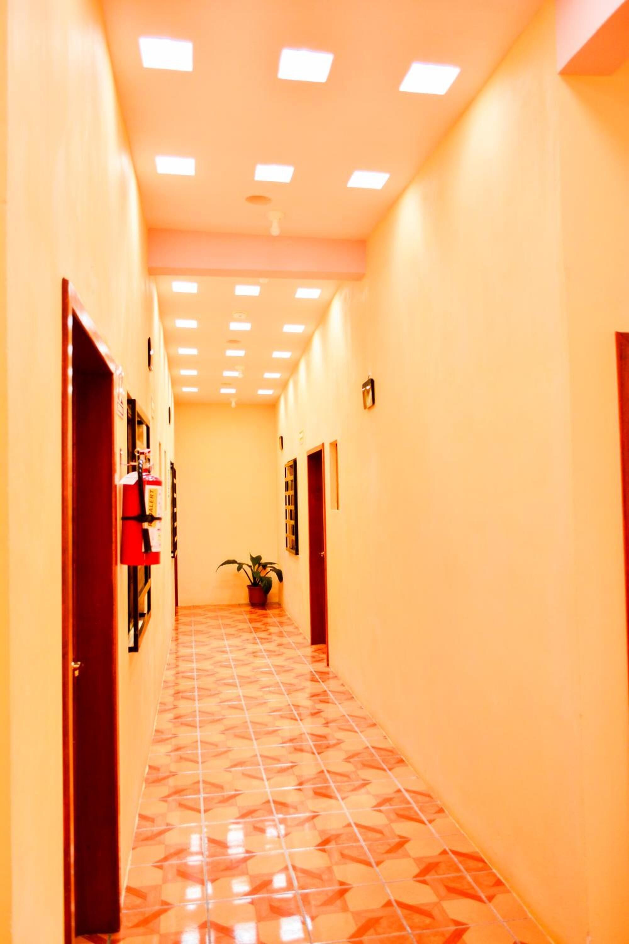 Corridoio d'albergo con pavimento piastrellato, porte e una pianta in vaso.
