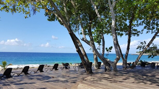 A wooden deck with lounge chairs facing the ocean, surrounded by trees. - Premium 3-BR Ocean view Condominium at Hispaniola Beach! (Sosúa)