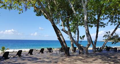 Premium 3-BR Ocean view Condominium at Hispaniola Beach!